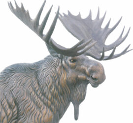 Moose Head