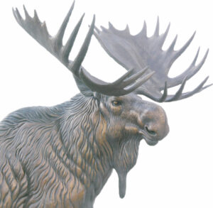 Moose Head